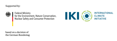 IKI logo